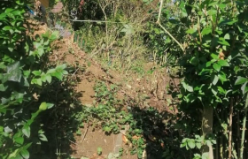 Pose de clôture et terrassement