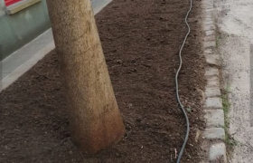 Création d'un potager